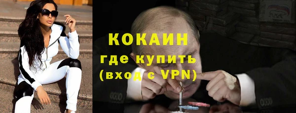 spice Богданович