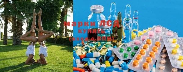 spice Богданович