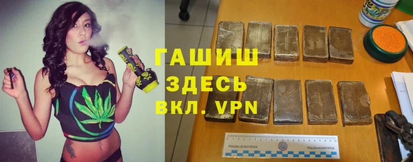 spice Богданович